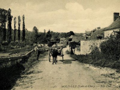 Molineuf_legueTaureau_cartePostale
